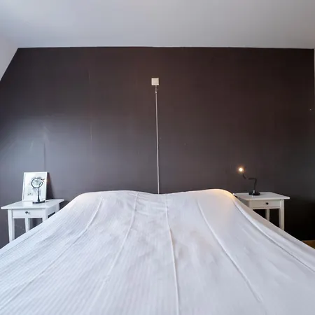 Residentie Zandloper Ii By Interhome